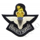 The Parachute Regiment QC Deluxe Blazer Badge